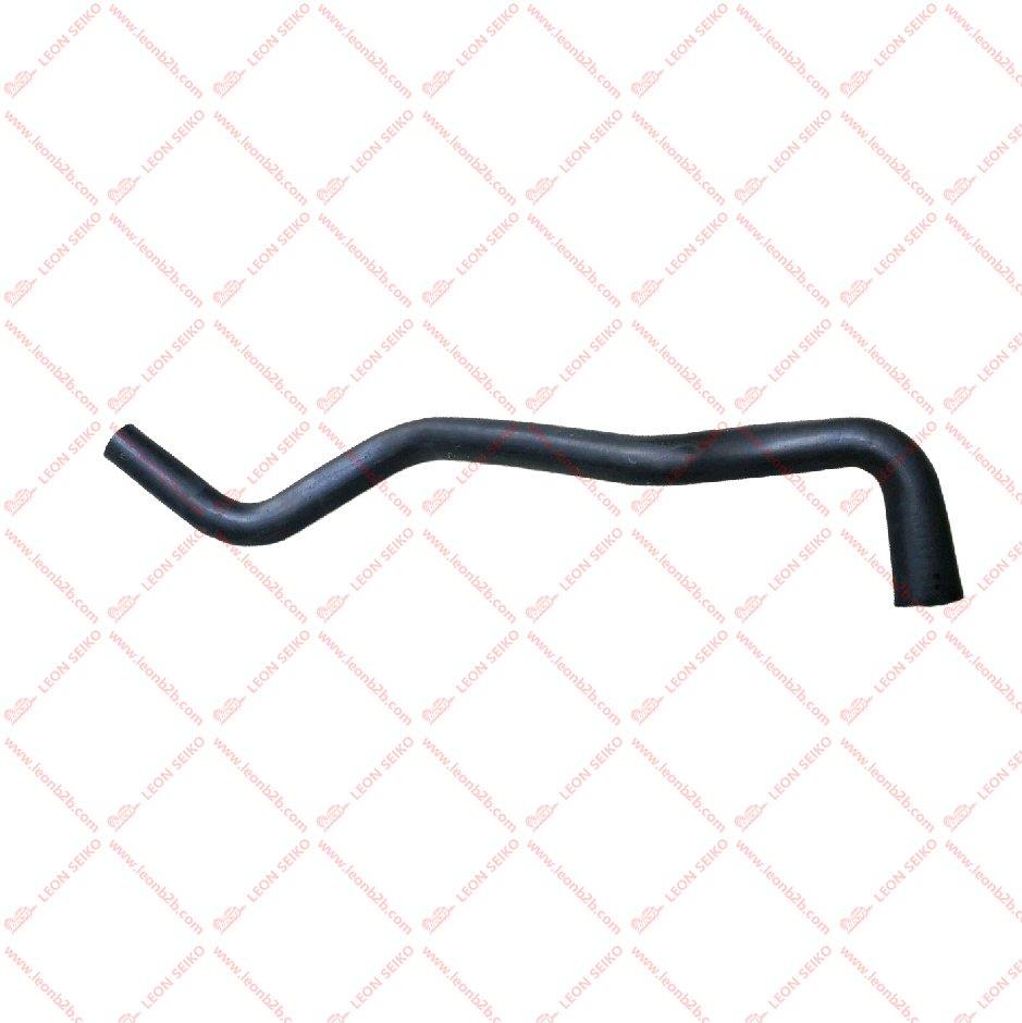 25412-3Z000_LEON