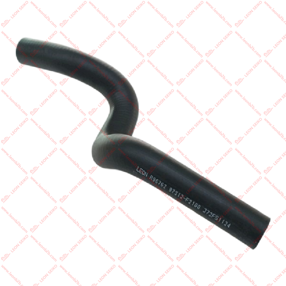 97312-F2100_LEON