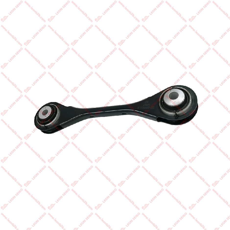 X01-29140015_LEON