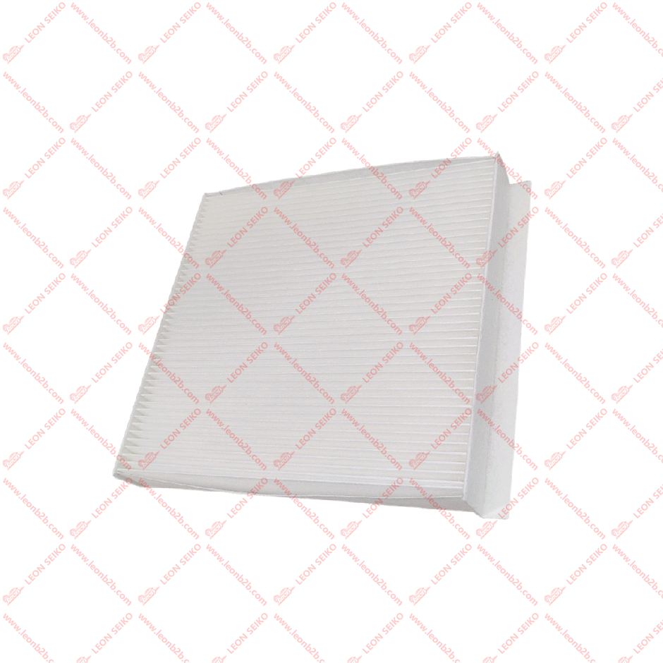 8119030-CR03_LEON