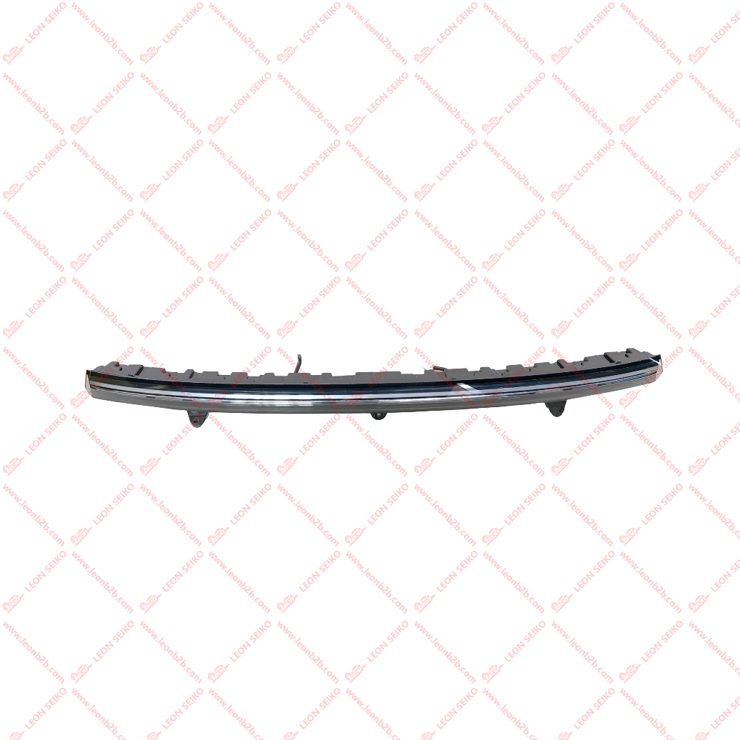 X01-53011089_LEON