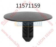 11571159_LEON