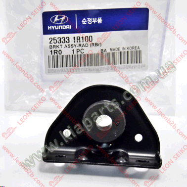 25333-1R100_HPT