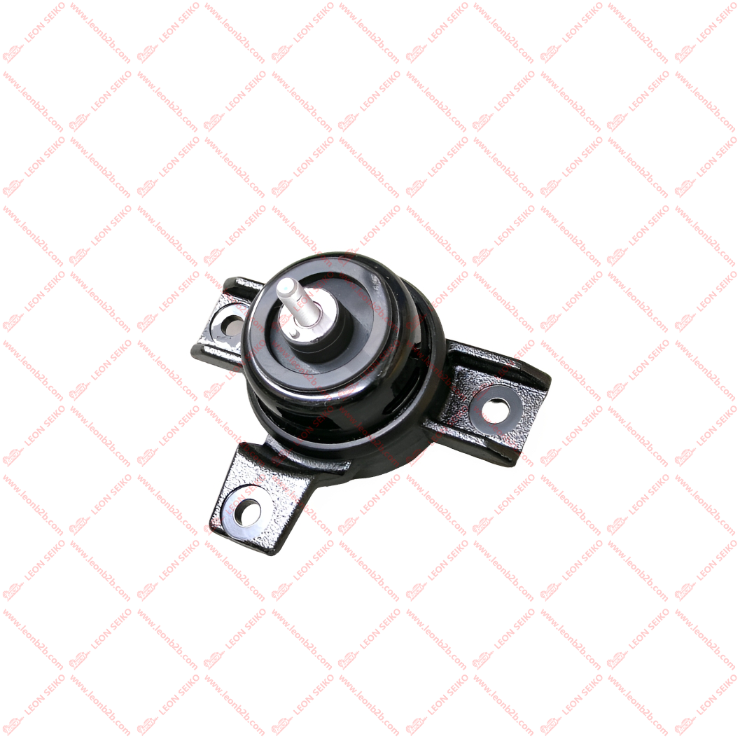 21810-2P100_LEON