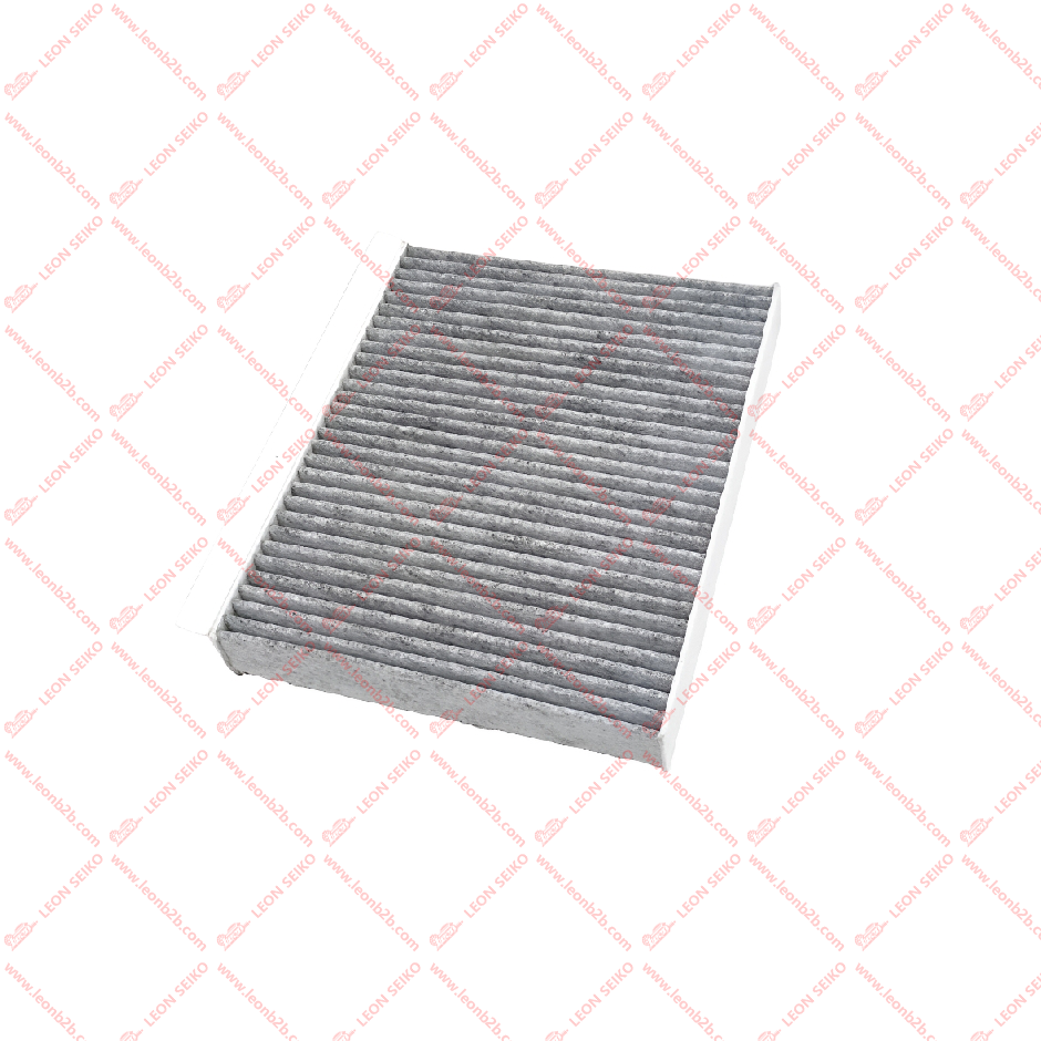 8119030-CD03_LEON