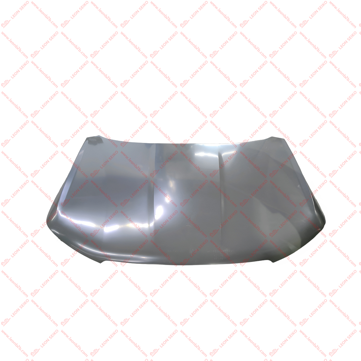 553000121AADYJ_LEON