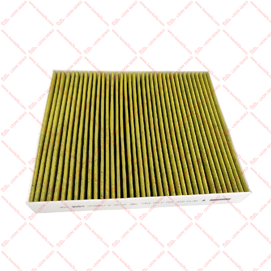 X03-90000206._LEON