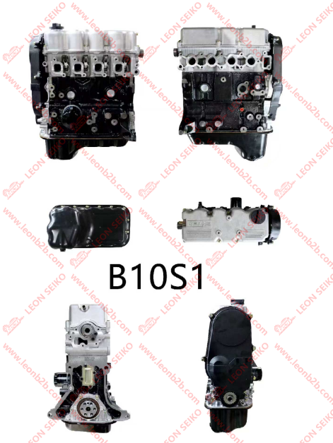 B10S/Q35049_LEON
