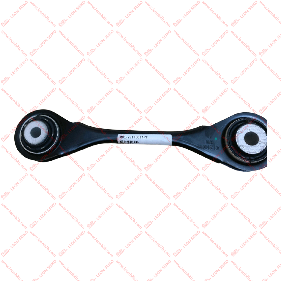 X01-29140014_LEON