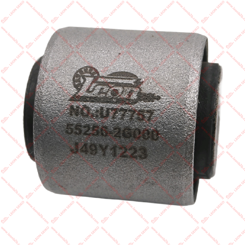 55256-2G000_LEON