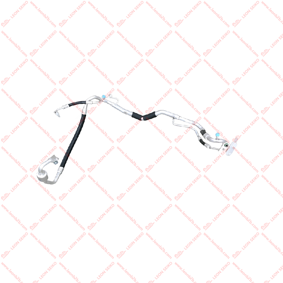 97775-4X500_LEON