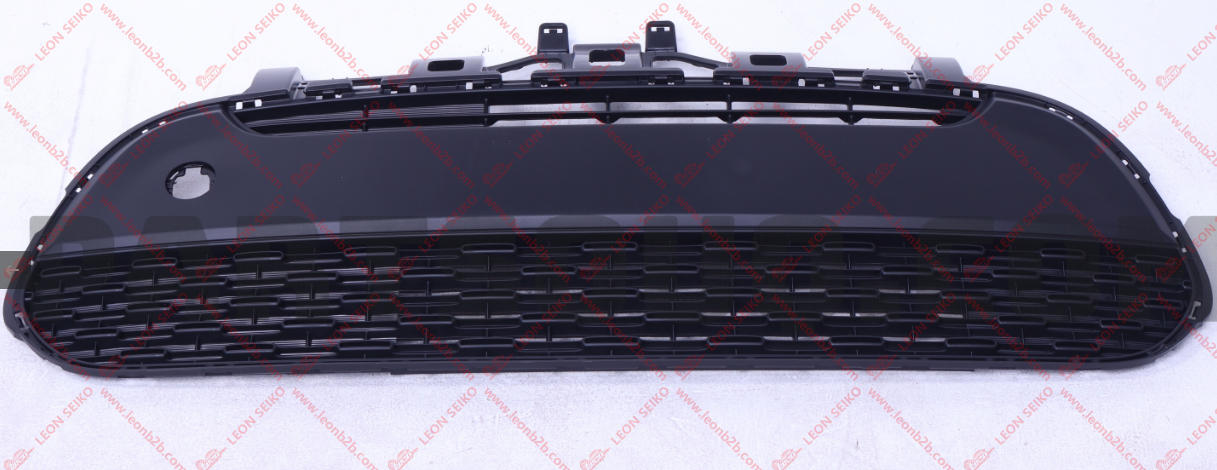 86560-G6000_LEON