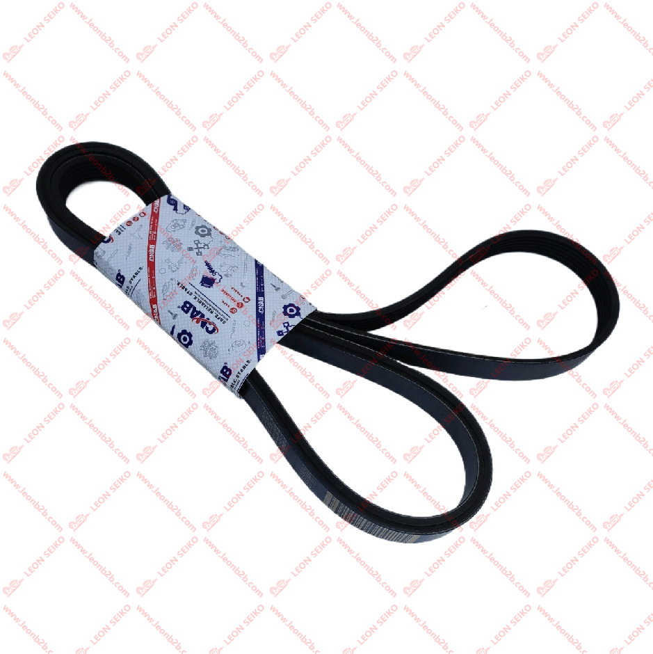6PK2475_BEAR