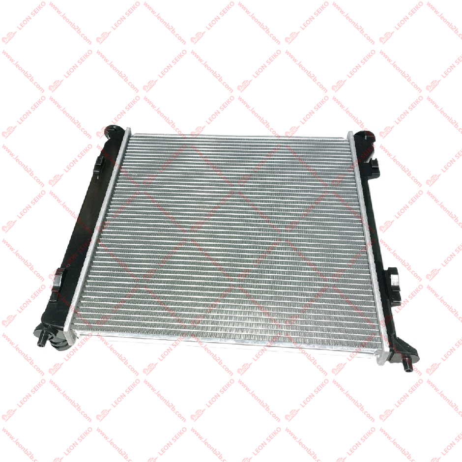 25310-L0000_LEON