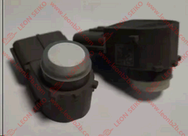 95720-Q2000_LEON