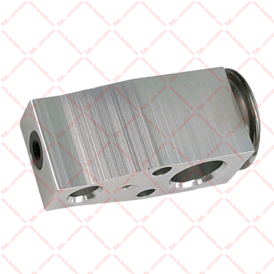 97626-D4500_LEON