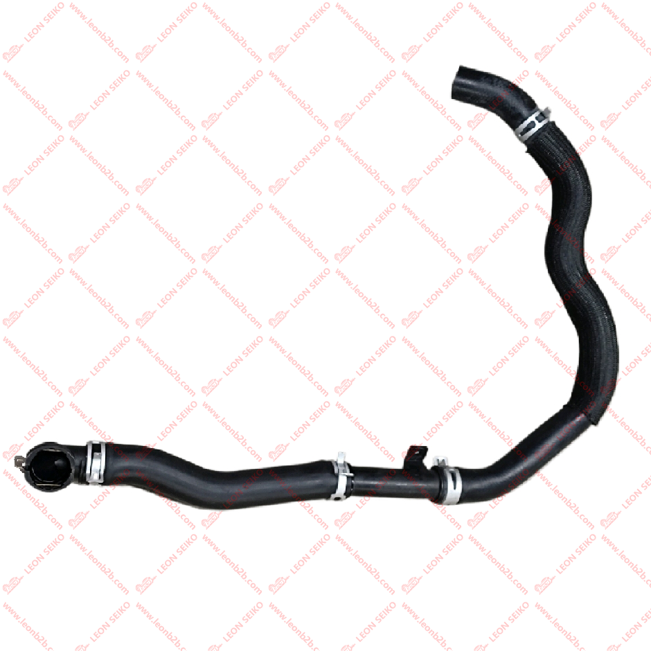 25415-C1100_LEON