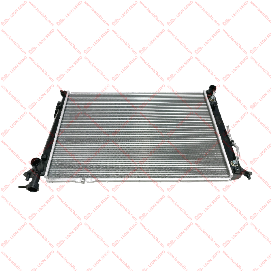25310-2B400_LEON