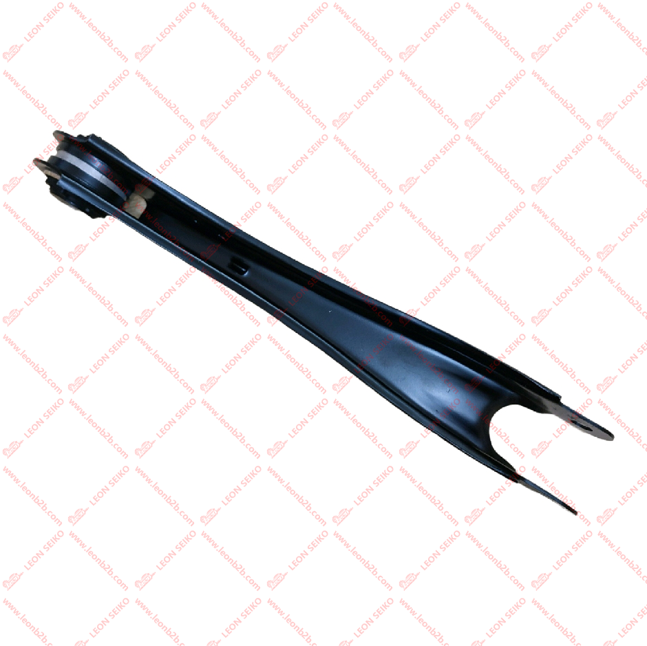 X01-29140011_LEON