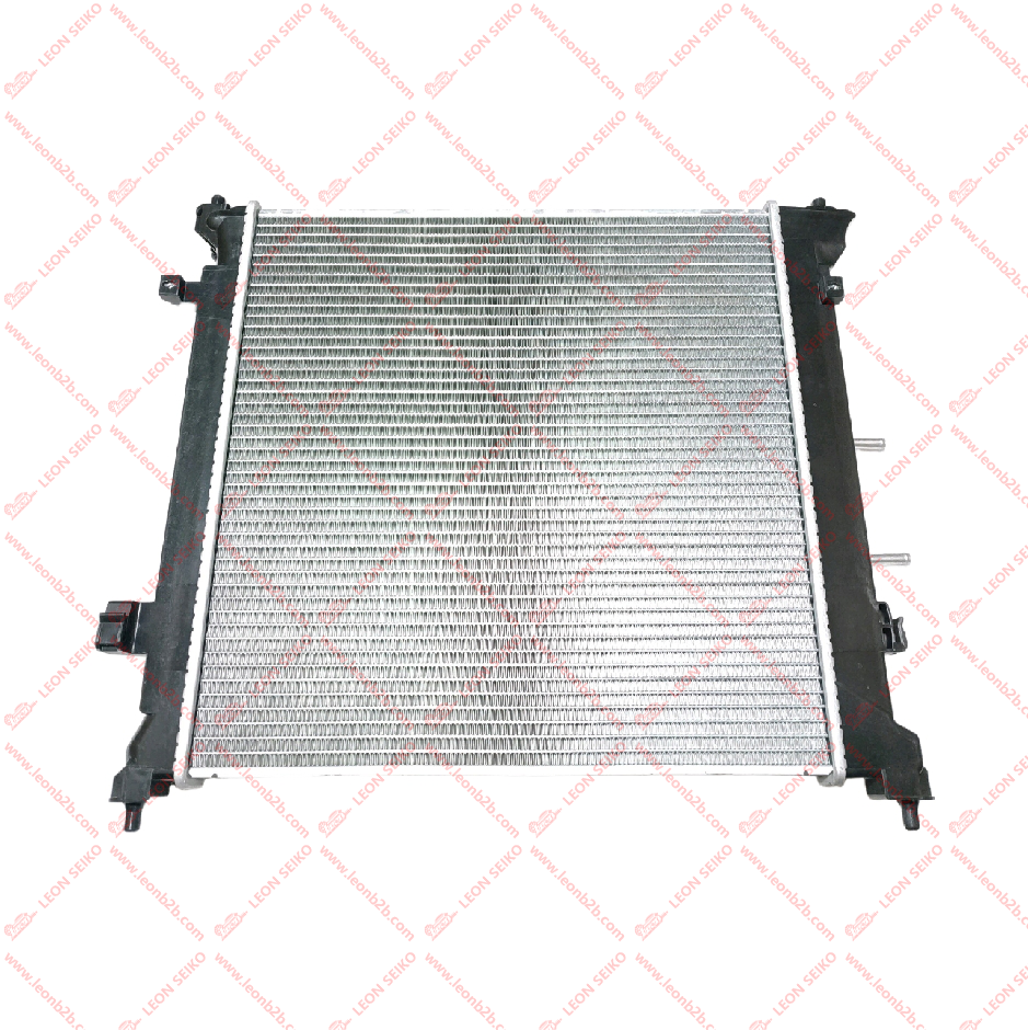 25310-C2100_LEON