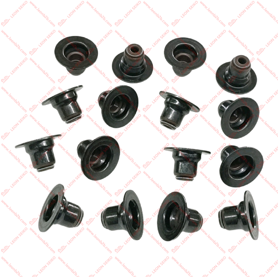 22224-27900_LEON
