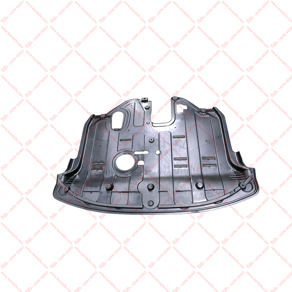 29110-P2500_LEON