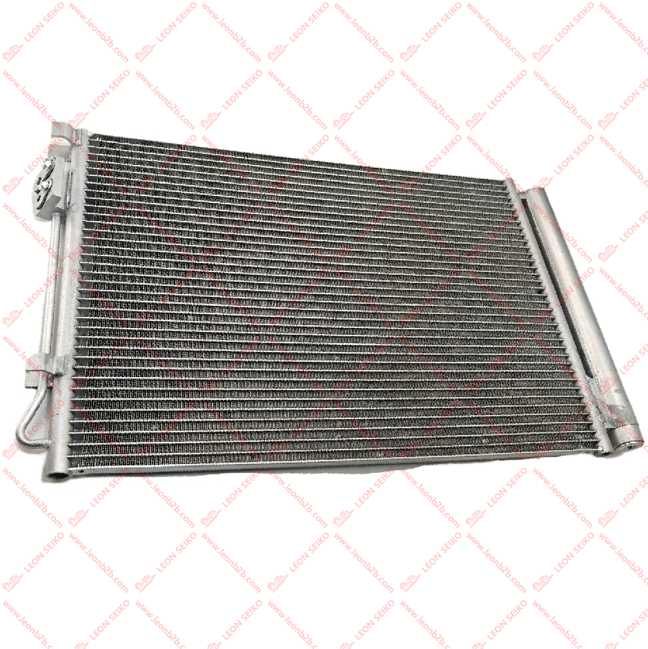 97606-H5000_LEON