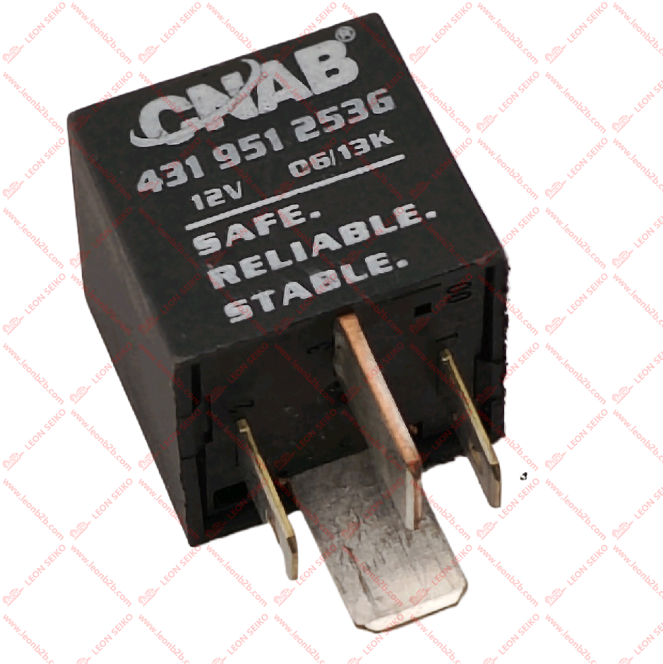431951253G_CNAB