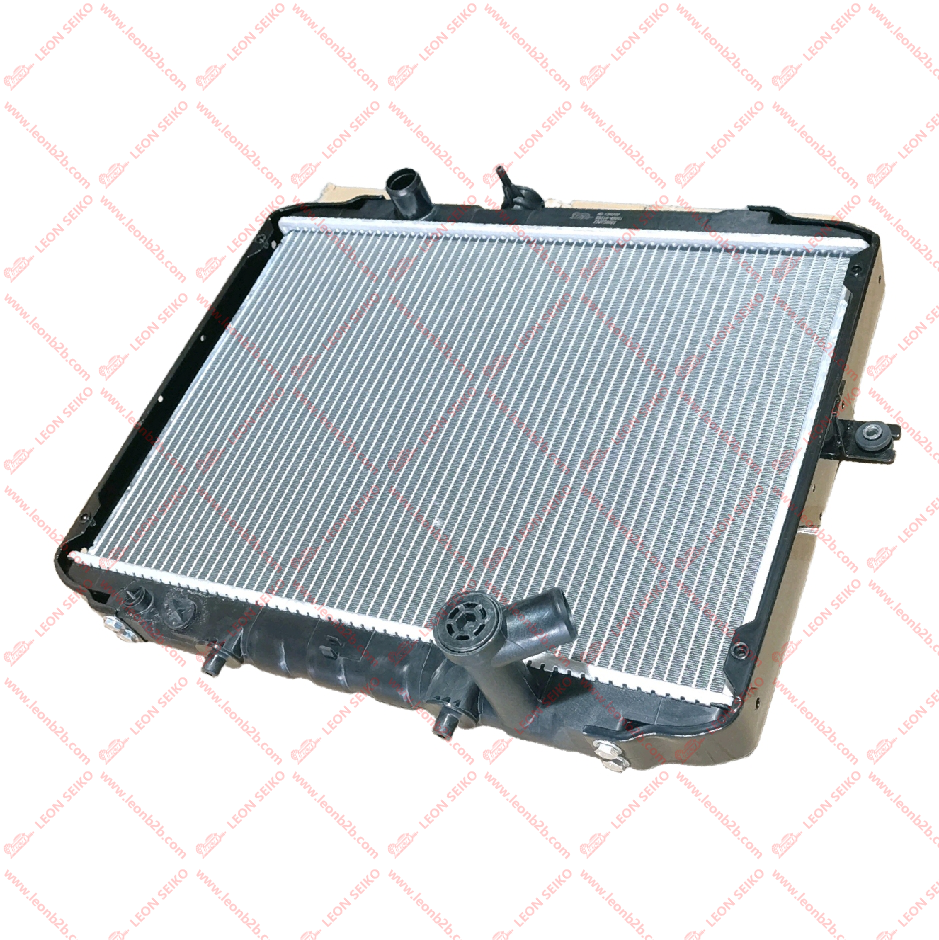 25310-4B001_LEON
