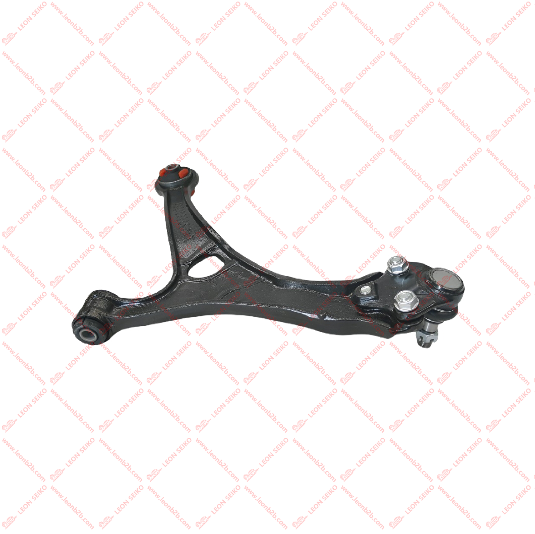 T11-2909020BA_LEON
