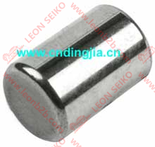 94535943_LEON