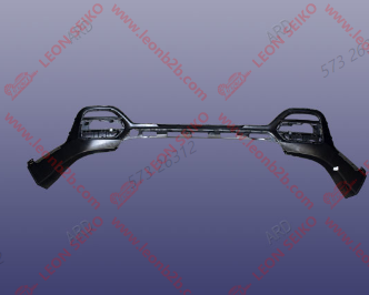 602000161AA_LEON