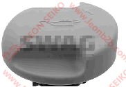 650091_LEON