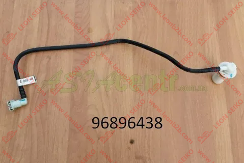 96896438_LEON