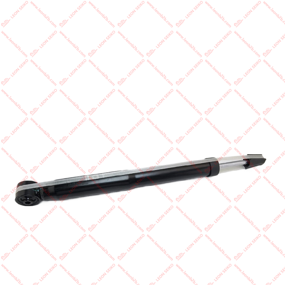 6RU513025A_LEON