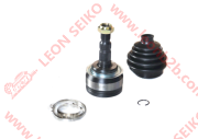 13318006_LEON