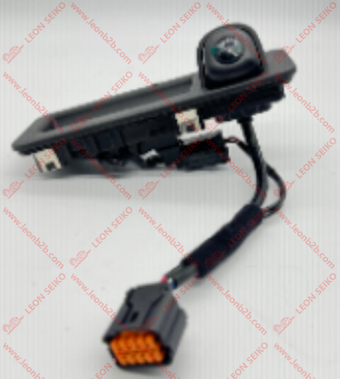 95760-F2001_LEON