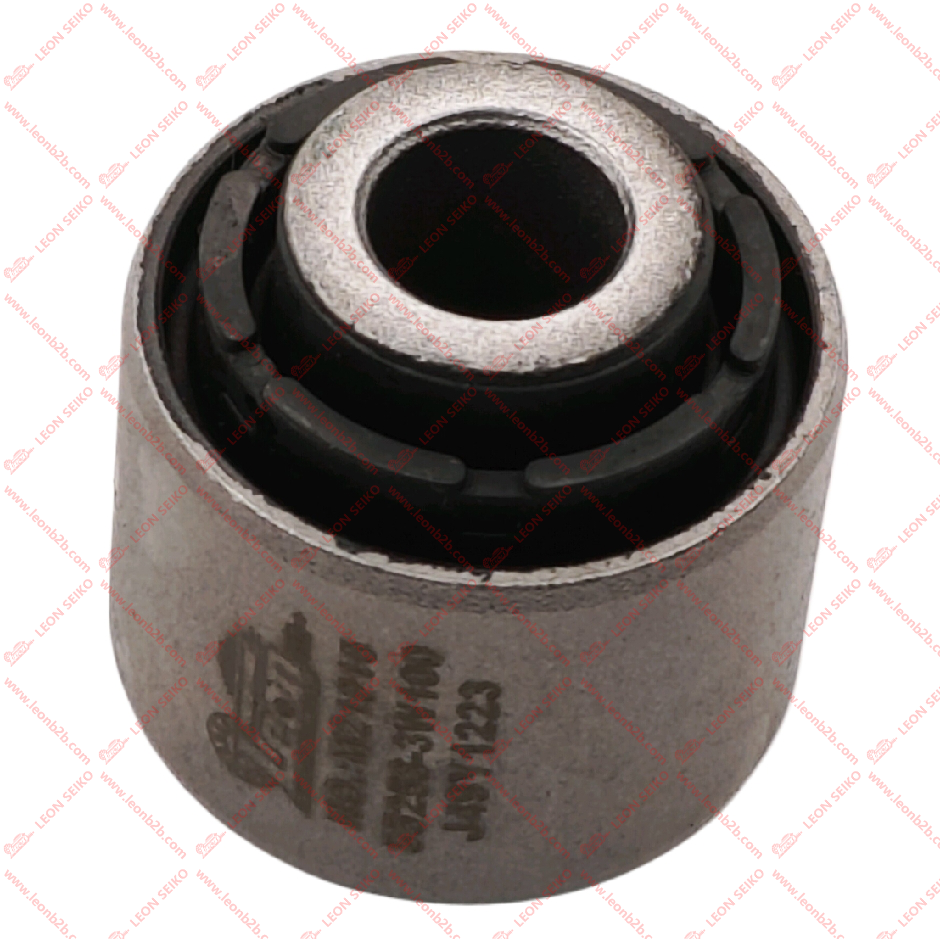 55253-3W100_LEON