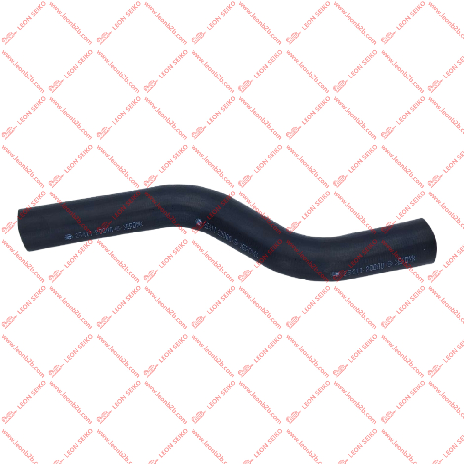 25411-3D000_LEON